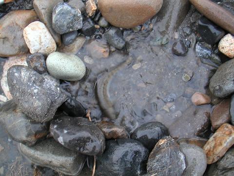 2012.03.31 005.jpg