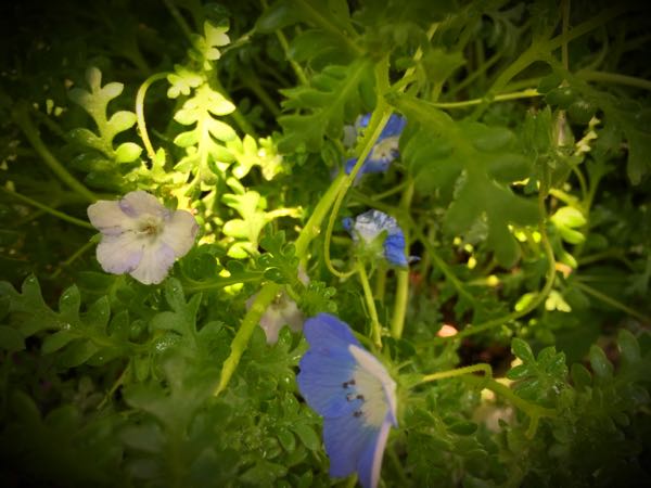 rblog-20160430165450-06.jpg