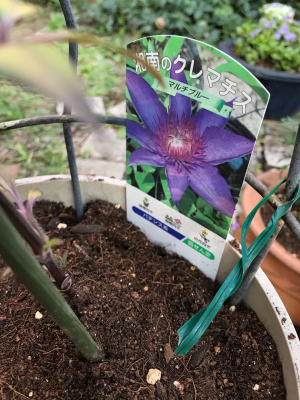 rblog-20190324174020-02.jpg