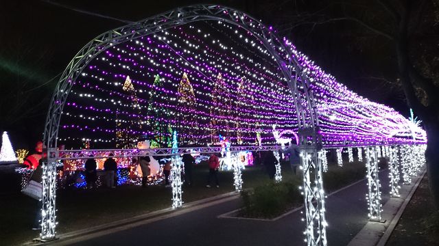 2014-12-12 18.42.37.jpg