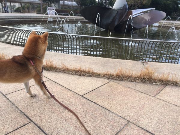 rblog-20160122223436-07.jpg