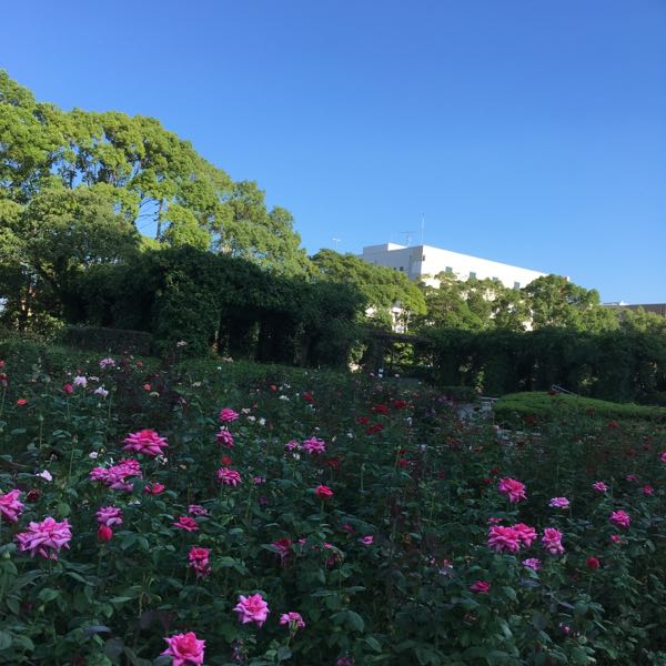 rblog-20180920153823-01.jpg