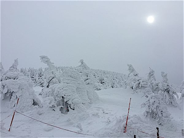 rblog-20160123153757-05.jpg