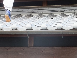 DSCF1402.jpg