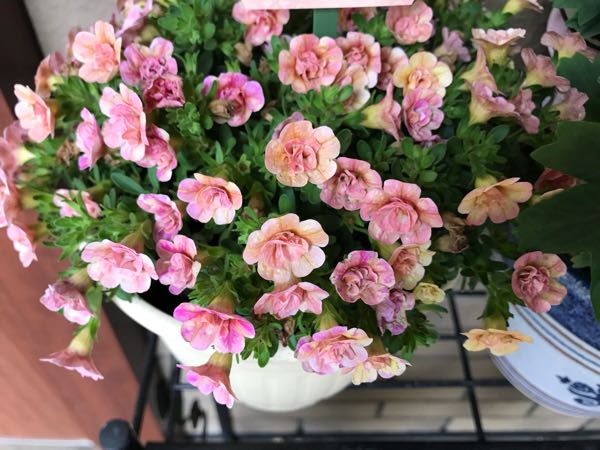 rblog-20180531150201-03.jpg