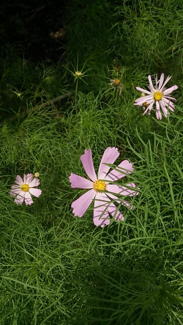 rblog-20140626230646-01.jpg