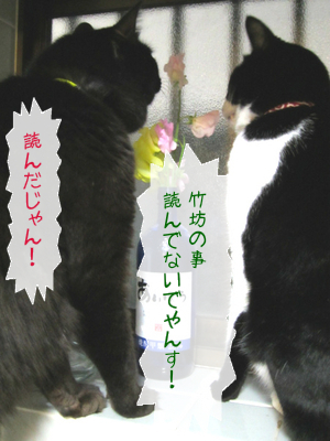 20121214115835_w_300_h_400_5653642.jpg