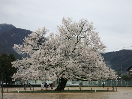 IMG_5884.jpg
