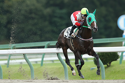 150924-004ケイジースワロ.jpg