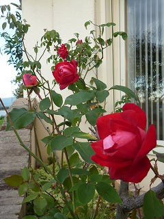 P1270013ss.jpg