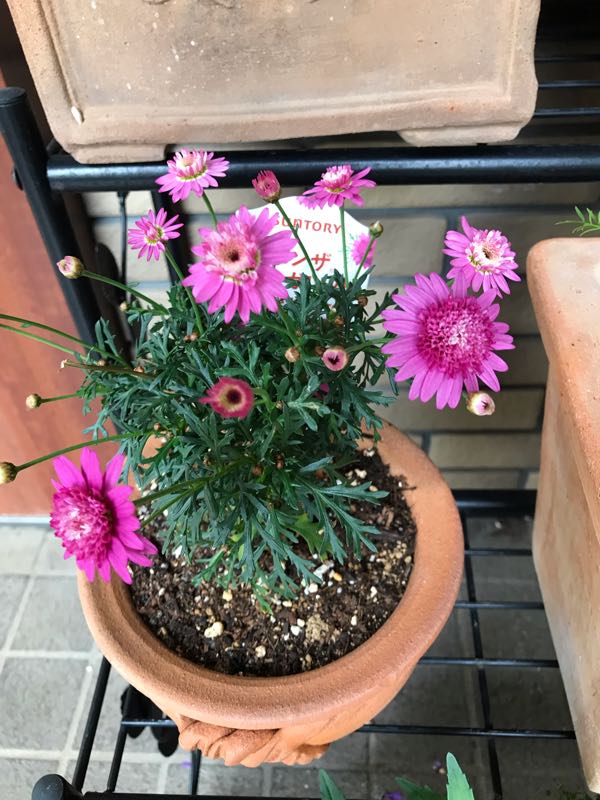 rblog-20190426181233-07.jpg