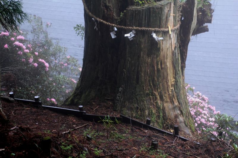 玉置神社_002.jpg