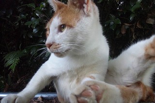img_590100_38829530_1.jpeg