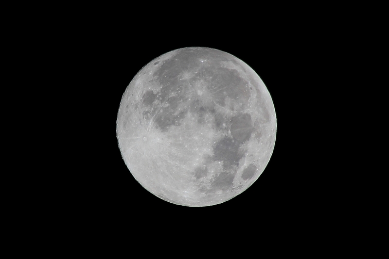 中秋の名月２０１４_008.jpg