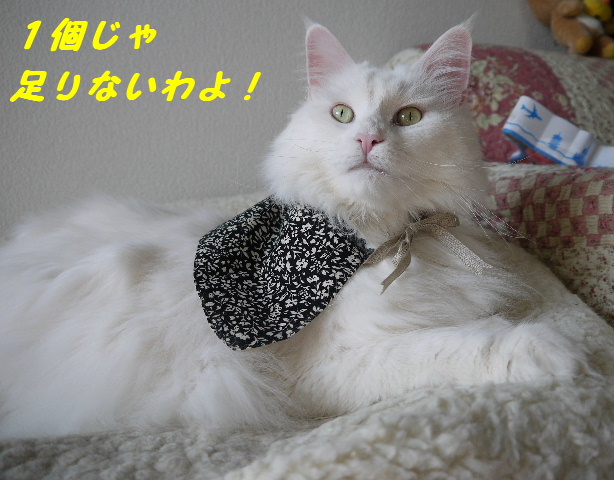 P1250558.JPG