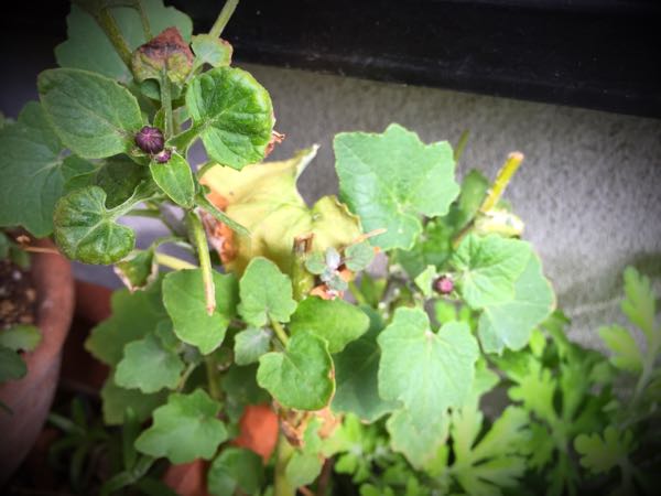 rblog-20160331165718-09.jpg