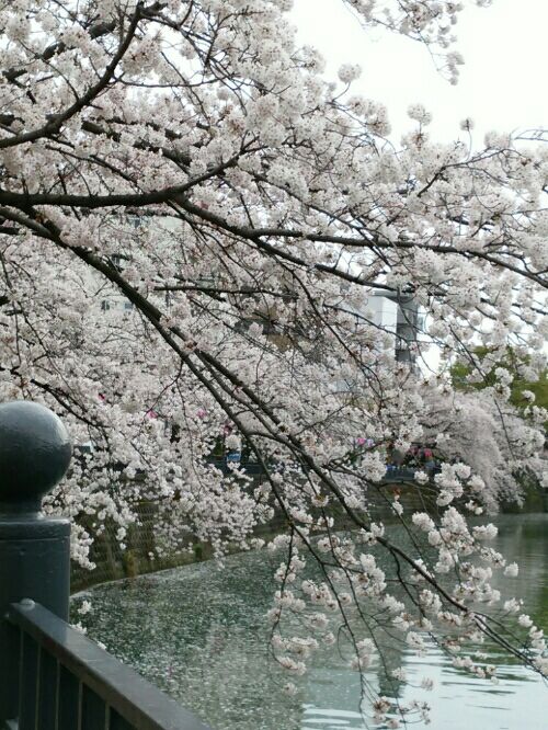 rblog-20160407173157-05.jpg