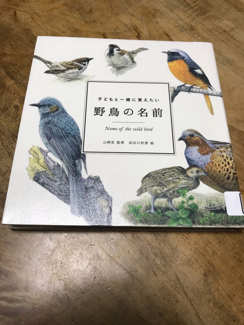 野鳥の名前 | のん木ぶろぐ - 楽天ブログ