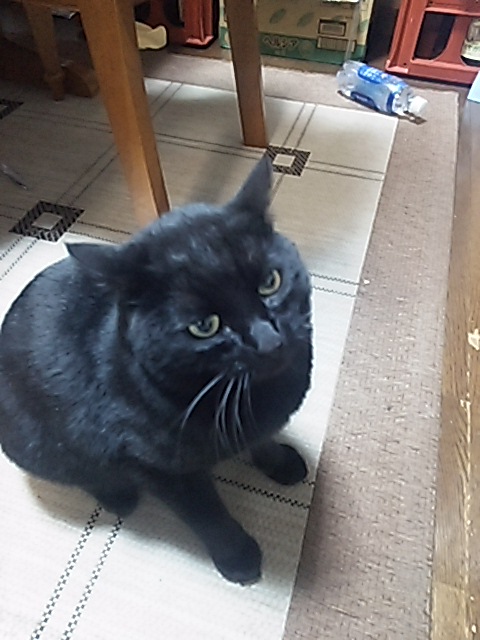 280107ゆうくん.JPG