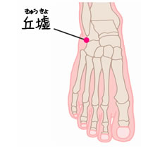 足の少陽胆経「丘墟(きゅうきょ)」 | blog - 楽天ブログ