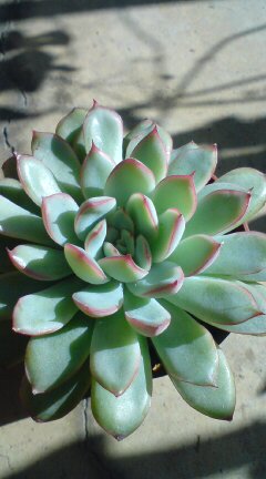 20131201112759.jpg