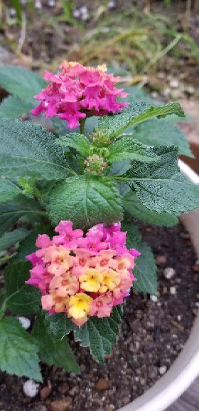 rblog-20180605094919-05.jpg