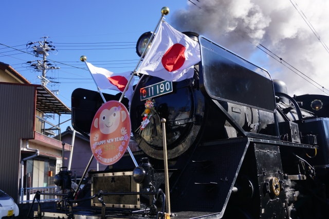 2016年元旦 新春大井川 C11 190門デフ3