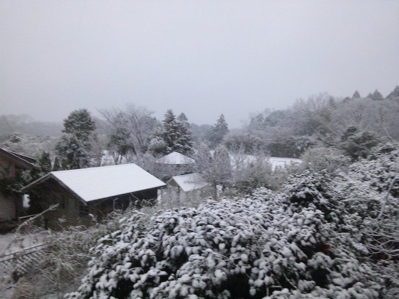 千葉140211_1