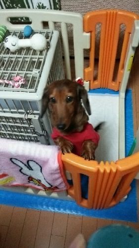 rblog-20180305102624-01.jpg