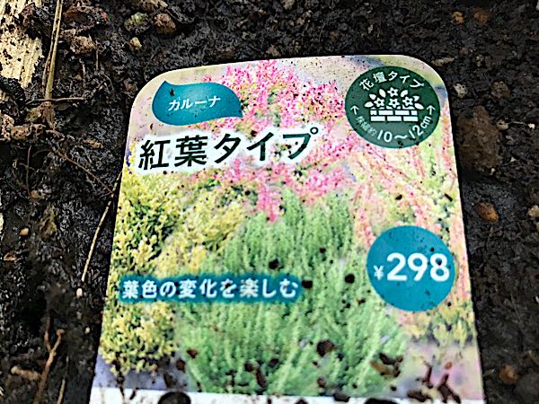rblog-20161129162812-05.jpg