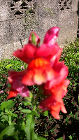 rblog-20130616161217-01.png