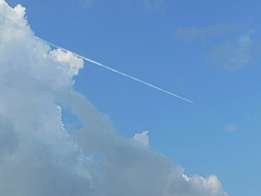 conv1752.JPG