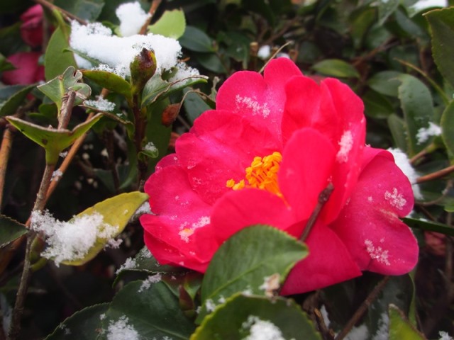 004_640px.jpg