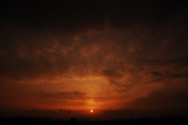 D40 198.jpg