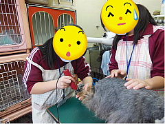 conv0112.JPG