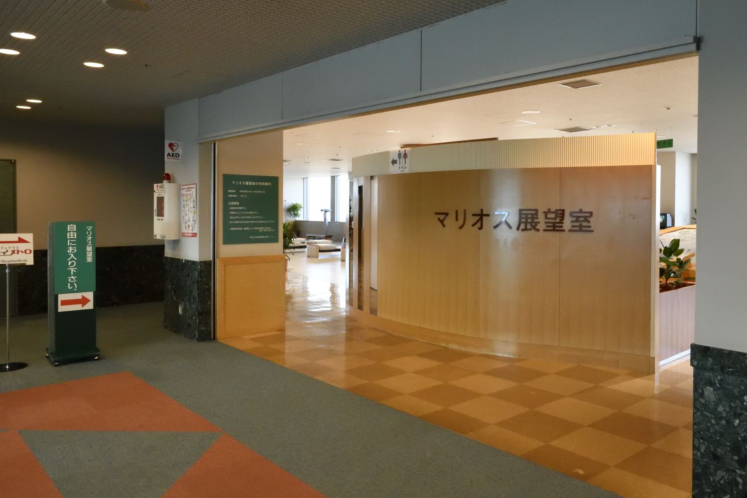 盛岡駅周辺で岩手山見てました ふう 出来るだけ書くぞ 楽天ブログ