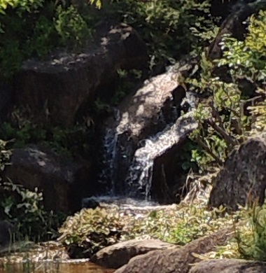 愛・地球博記念公園日本庭園滝