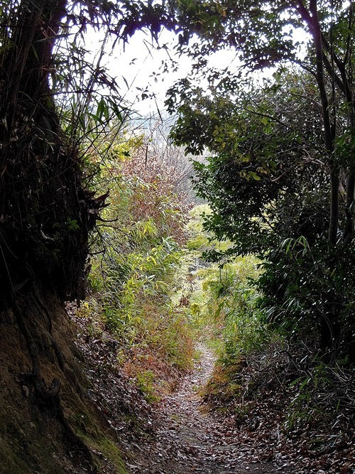 ドングリ峠