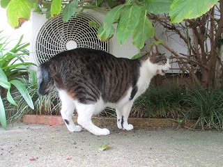 IMG_9475ss.jpg