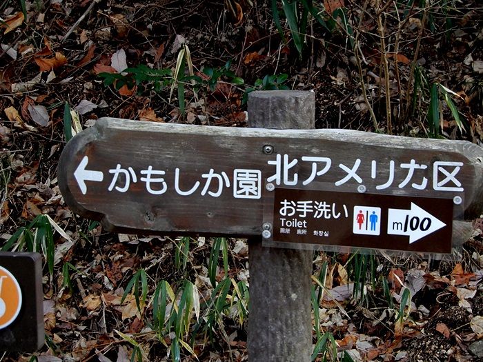 表示