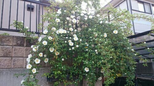 rblog-20160430204052-02.jpg