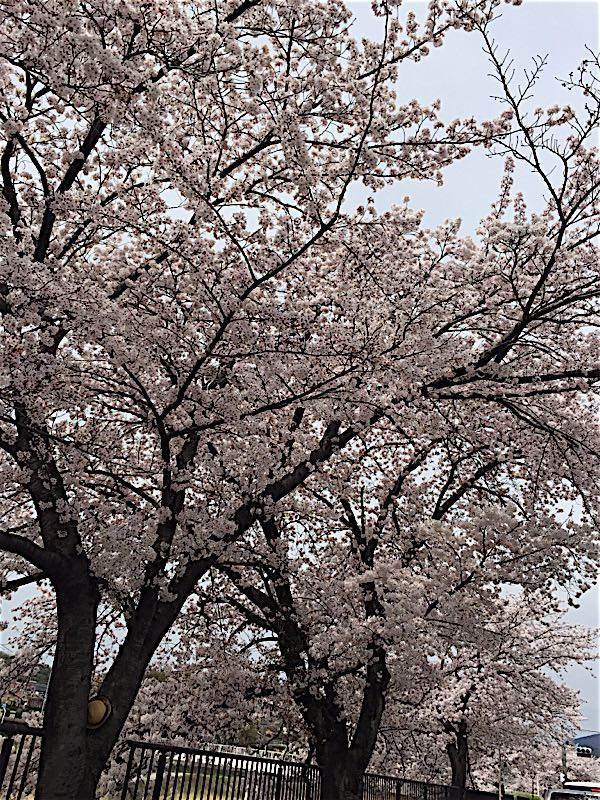 rblog-20160411185529-01.jpg