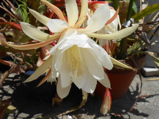 DSCN0240.JPG