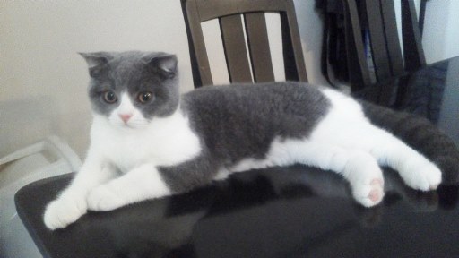 20140707153518.jpg