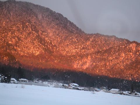 2012.02.04 006.jpg
