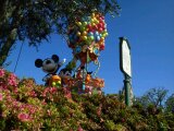 ２０１３年６月２日 TDL インパ時の風景４.jpg