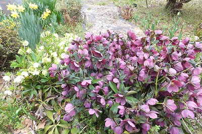 DSCF3328.jpg