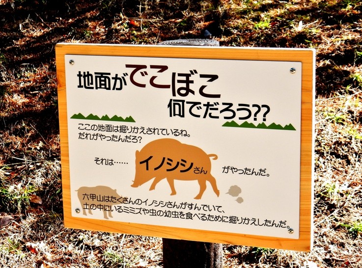 イノシシ立て札4.JPG