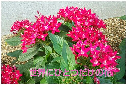 rblog-20160819210013-00.jpg