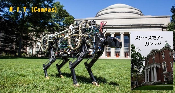 大学_MIT